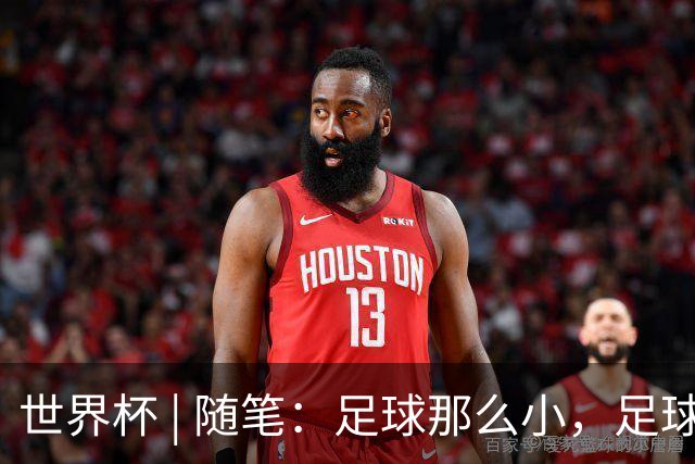 世界杯 | 随笔：足球那么小，足球这么大