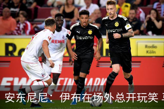 安东尼尼：伊布在场外总开玩笑 马尔蒂尼是榜样