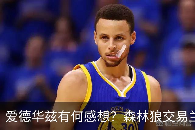 爱德华兹有何感想？森林狼交易兰德尔断臂求生 只为续约道苏姆？